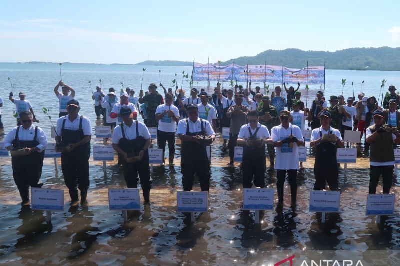 Presiden Direktur Freeport Indonesia Tony Wenas (kelima kiri) dan Menteri Lingkungan Hidup Mohammad Jumhur Hidayat (keempat kiri) bersama delegasi pemerintah daerah serta penduduk lokal melakukan penanaman bibit mangrove di Labuan Alas, Kabupaten Sumbawa, Nusa Tenggara Barat, Selasa (7/7/2026). Foto Antara Presiden Direktur Freeport Indonesia Tony Wenas (kelima kiri) dan Menteri Lingkungan Hidup Mohammad Jumhur Hidayat (keempat kiri) bersama delegasi pemerintah daerah serta penduduk lokal melakukan penanaman bibit mangrove di Labuan Alas, Kabupaten Sumbawa, Nusa Tenggara Barat, Selasa (7/7/2026). Foto Antara
