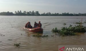 Tim SAR Gabungan Palembang, Sumatera Selatan, mencari seorang perempuan paruh baya yang diduga tenggelam di Sungai Komering Dusun II, Desa Sungai Kedukan, Kecamatan Rambutan, Kabupaten Banyuasin, Sumsel, Minggu (5/7/2026). Foto Antara Tim SAR Gabungan Palembang, Sumatera Selatan, mencari seorang perempuan paruh baya yang diduga tenggelam di Sungai Komering Dusun II, Desa Sungai Kedukan, Kecamatan Rambutan, Kabupaten Banyuasin, Sumsel, Minggu (5/7/2026). Foto Antara