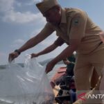 Petugas menebar benih ikan di Bendungan Kuningan, Jawa Barat. Foto Antara