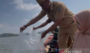 Petugas menebar benih ikan di Bendungan Kuningan, Jawa Barat. Foto Antara