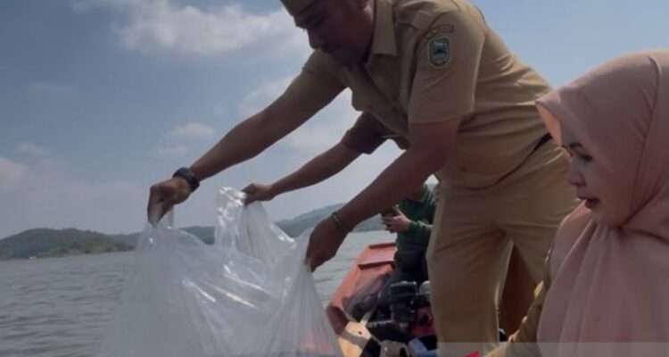 Petugas menebar benih ikan di Bendungan Kuningan, Jawa Barat. Foto Antara