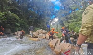 Tim SAR gabungan melakukan pencarian terhadap Yanto Idorway, presenter TVRI Papua Barat yang hanyut terseret arus sungai di kawasan wisata Air Terjun Memti, Kampung Sisrang, Kabupaten Pegunungan Arfak, Papua Barat, Minggu (19/7/2026). Sumber foto: Antara Tim SAR gabungan melakukan pencarian terhadap Yanto Idorway, presenter TVRI Papua Barat yang hanyut terseret arus sungai di kawasan wisata Air Terjun Memti, Kampung Sisrang, Kabupaten Pegunungan Arfak, Papua Barat, Minggu (19/7/2026). Sumber foto: Antara