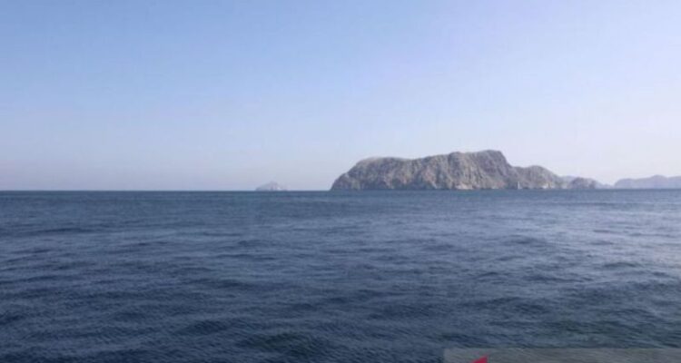 Perairan Selat Hormuz, Iran, Rabu (19/2/2025). Foto Antara