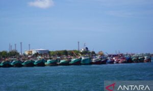 Sejumlah kapal ikan bersandar di Pelabuhan Benoa, Denpasar, Bali, Selasa (21/7/2026). Sumber foto: Antara Sejumlah kapal ikan bersandar di Pelabuhan Benoa, Denpasar, Bali, Selasa (21/7/2026). Sumber foto: Antara