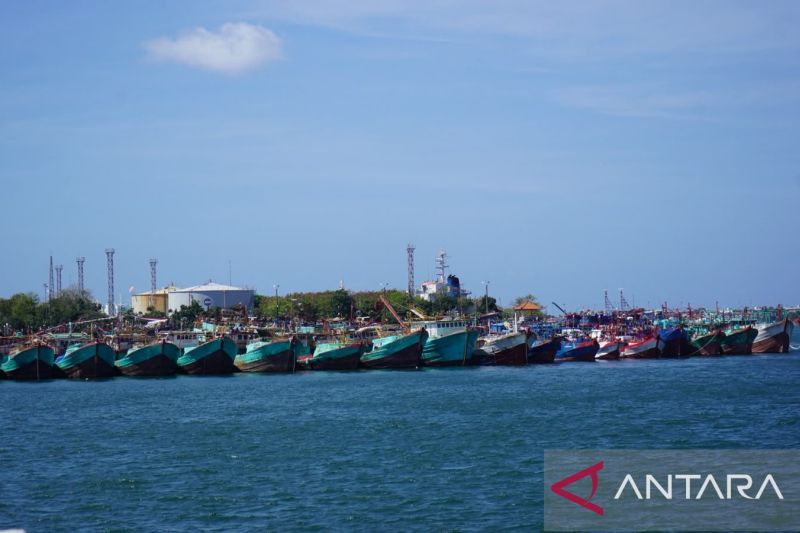 Sejumlah kapal ikan bersandar di Pelabuhan Benoa, Denpasar, Bali, Selasa (21/7/2026). Sumber foto: Antara Sejumlah kapal ikan bersandar di Pelabuhan Benoa, Denpasar, Bali, Selasa (21/7/2026). Sumber foto: Antara