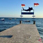 Kawasan wisata hiu paus di Desa Botubarani, Kabupaten Bone Bolango, Provinsi Gorontalo, menjadi contoh pengembangan ekonomi masyarakat pesisir yang menggabungkan aktivitas wisata dengan upaya konservasi laut. Jumat (31/7/2026). Sumber foto: Antara
