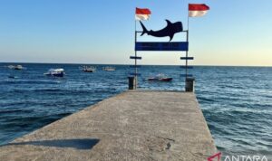 Kawasan wisata hiu paus di Desa Botubarani, Kabupaten Bone Bolango, Provinsi Gorontalo, menjadi contoh pengembangan ekonomi masyarakat pesisir yang menggabungkan aktivitas wisata dengan upaya konservasi laut. Jumat (31/7/2026). Sumber foto: Antara Kawasan wisata hiu paus di Desa Botubarani, Kabupaten Bone Bolango, Provinsi Gorontalo, menjadi contoh pengembangan ekonomi masyarakat pesisir yang menggabungkan aktivitas wisata dengan upaya konservasi laut. Jumat (31/7/2026). Sumber foto: Antara