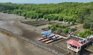 Kegiatan Penanaman mangrove dan penahan ombak di wilayah pesisir utara Karawang. Foto Antara