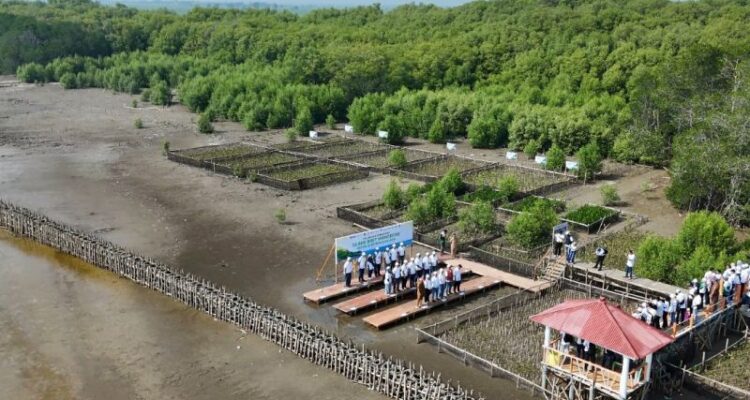 Kegiatan Penanaman mangrove dan penahan ombak di wilayah pesisir utara Karawang. Foto Antara