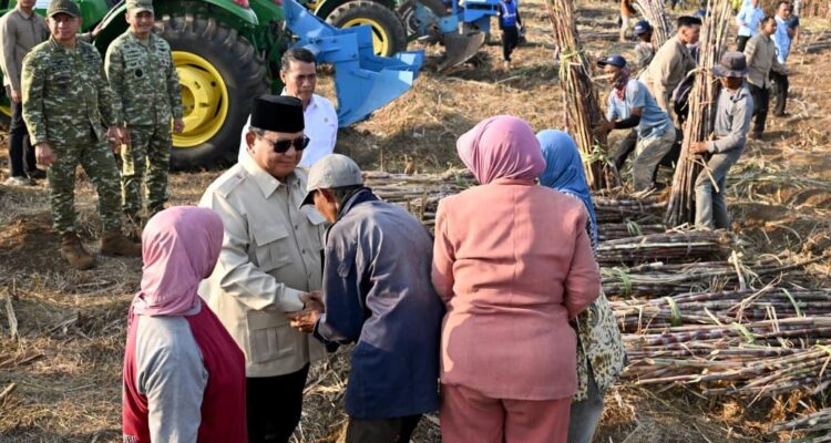 President Prabowo Subianto witnessed the large-scale sugarcane harvest at Abdulrachman Saleh Air Force Base in Malang Regency, East Java Province, on Friday, July 17, 2026. Photo source: Presidential Secretariat Press, Media, and Information Bureau (BPMI)