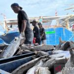 Ilustrasi - Aktivitas bongkar muat ikan di Pelabuhan Perikanan Karangsong di Kabupaten Indramayu, Jawa Barat. Foto Antara