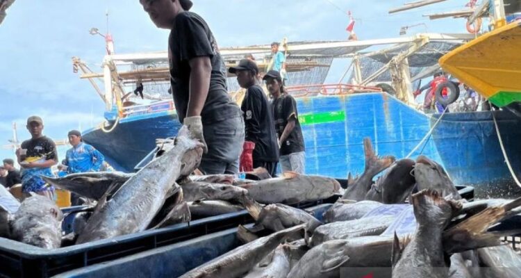 Ilustrasi - Aktivitas bongkar muat ikan di Pelabuhan Perikanan Karangsong di Kabupaten Indramayu, Jawa Barat. Foto Antara