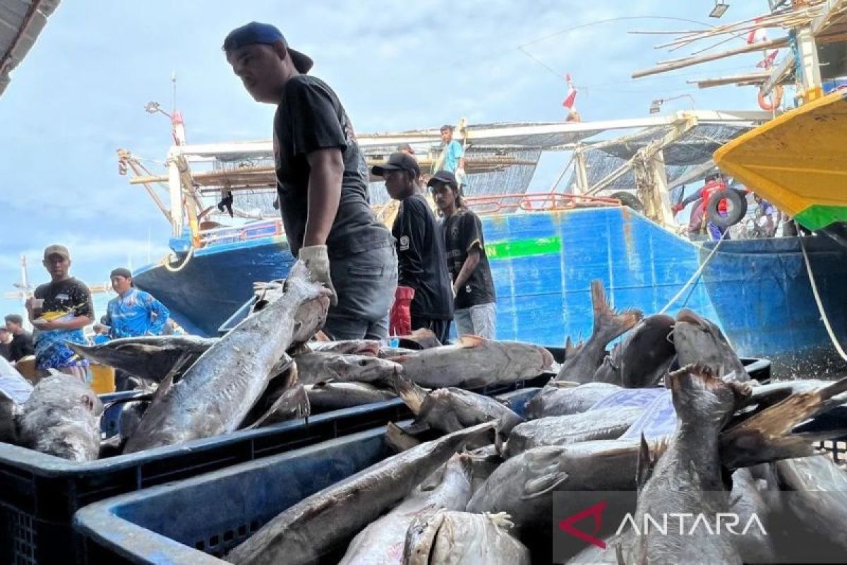 Ilustrasi - Aktivitas bongkar muat ikan di Pelabuhan Perikanan Karangsong di Kabupaten Indramayu, Jawa Barat. Foto Antara Ilustrasi - Aktivitas bongkar muat ikan di Pelabuhan Perikanan Karangsong di Kabupaten Indramayu, Jawa Barat. Foto Antara
