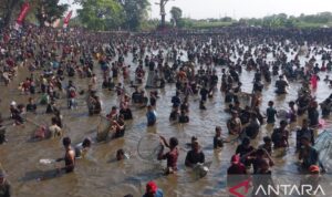 Thousands of residents participated in Memet Ikan tradition of Fish Festival at Gemblegan Fish Pond in Kalikotes Sub-District, Klaten, Central Java, on Sunday (July 19, 2026). Photo Source: Antara Thousands of residents participated in Memet Ikan tradition of Fish Festival at Gemblegan Fish Pond in Kalikotes Sub-District, Klaten, Central Java, on Sunday (July 19, 2026). Photo Source: Antara