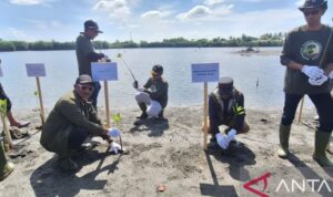 Pemerintah Aceh bersama Badan Pengelola Migas Aceh (BPMA) serta industri migas yakni Medco E&P Malaka menggandeng LSM Seulanga Aceh menanam sebanyak 1.000 pohon mangrove di kawasan pesisir Kota Banda Aceh, Minggu (19/7/2026). Sumber foto: Antara Pemerintah Aceh bersama Badan Pengelola Migas Aceh (BPMA) serta industri migas yakni Medco E&P Malaka menggandeng LSM Seulanga Aceh menanam sebanyak 1.000 pohon mangrove di kawasan pesisir Kota Banda Aceh, Minggu (19/7/2026). Sumber foto: Antara