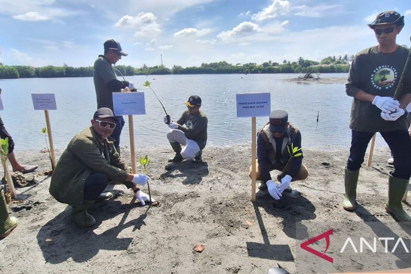 Pemerintah Aceh bersama Badan Pengelola Migas Aceh (BPMA) serta industri migas yakni Medco E&P Malaka menggandeng LSM Seulanga Aceh menanam sebanyak 1.000 pohon mangrove di kawasan pesisir Kota Banda Aceh, Minggu (19/7/2026). Sumber foto: Antara Pemerintah Aceh bersama Badan Pengelola Migas Aceh (BPMA) serta industri migas yakni Medco E&P Malaka menggandeng LSM Seulanga Aceh menanam sebanyak 1.000 pohon mangrove di kawasan pesisir Kota Banda Aceh, Minggu (19/7/2026). Sumber foto: Antara