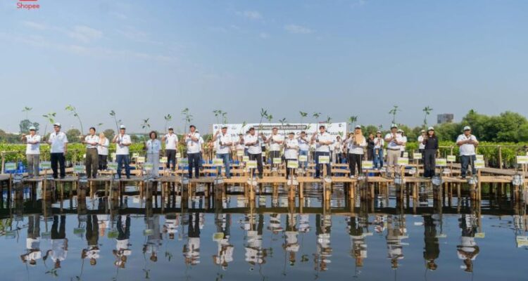 Pemerintah Provinsi DKI Jakarta menggelar kegiatan penanaman sekitar dua ribu bibit mangrove di pesisir utara Jakarta pada peringatan Hari Mangrove Sedunia 2026. Sumber foto: Antara