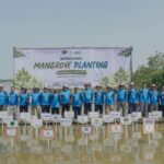 PT Jababeka Tbk (KIJA) melalui anak usahanya PT Jababeka Infrastruktur menggelar program tahunan Jababeka Ecoweek yang secara kumulatif telah menanam total 100.000 pohon mangrove di Pantai Bahagia, Muara Gembong, Kabupaten Bekasi, Jawa Barat. Sumber foto: Antara