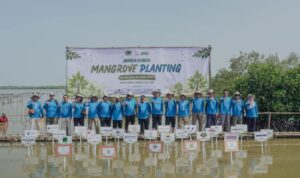 PT Jababeka Tbk (KIJA) melalui anak usahanya PT Jababeka Infrastruktur menggelar program tahunan Jababeka Ecoweek yang secara kumulatif telah menanam total 100.000 pohon mangrove di Pantai Bahagia, Muara Gembong, Kabupaten Bekasi, Jawa Barat. Sumber foto: Antara