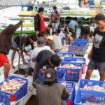 Sejumlah anak buah kapal melakukan bongkar muat ikan hasil tangkapan di Pelabuhan Pendaratan Ikan (PPI) Paotere Makassar, Sulawesi Selatan, Rabu (3/6/2026). Pemerintah Indonesia secara resmi meratifikasi Konvensi International Labour Organization Nomor 188/2007 (ILO 188) tentang pekerjaan dalam penangkapan ikan guna menjamin pemenuhan hak-hak bagi pekerja kapal perikanan serta penangkap ikan dan ditargetkan dapat diimplementasikan pada tahun 2027. Sumber foto: Antara