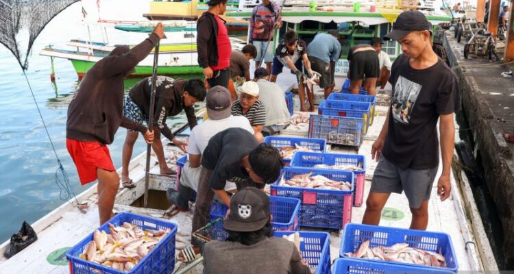 Sejumlah anak buah kapal melakukan bongkar muat ikan hasil tangkapan di Pelabuhan Pendaratan Ikan (PPI) Paotere Makassar, Sulawesi Selatan, Rabu (3/6/2026). Pemerintah Indonesia secara resmi meratifikasi Konvensi International Labour Organization Nomor 188/2007 (ILO 188) tentang pekerjaan dalam penangkapan ikan guna menjamin pemenuhan hak-hak bagi pekerja kapal perikanan serta penangkap ikan dan ditargetkan dapat diimplementasikan pada tahun 2027. Sumber foto: Antara