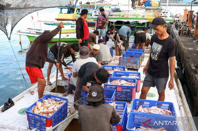 Sejumlah anak buah kapal melakukan bongkar muat ikan hasil tangkapan di Pelabuhan Pendaratan Ikan (PPI) Paotere Makassar, Sulawesi Selatan, Rabu (3/6/2026). Pemerintah Indonesia secara resmi meratifikasi Konvensi International Labour Organization Nomor 188/2007 (ILO 188) tentang pekerjaan dalam penangkapan ikan guna menjamin pemenuhan hak-hak bagi pekerja kapal perikanan serta penangkap ikan dan ditargetkan dapat diimplementasikan pada tahun 2027. Sumber foto: Antara Sejumlah anak buah kapal melakukan bongkar muat ikan hasil tangkapan di Pelabuhan Pendaratan Ikan (PPI) Paotere Makassar, Sulawesi Selatan, Rabu (3/6/2026). Pemerintah Indonesia secara resmi meratifikasi Konvensi International Labour Organization Nomor 188/2007 (ILO 188) tentang pekerjaan dalam penangkapan ikan guna menjamin pemenuhan hak-hak bagi pekerja kapal perikanan serta penangkap ikan dan ditargetkan dapat diimplementasikan pada tahun 2027. Sumber foto: Antara