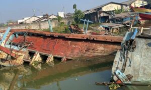 Tim Terpadu Maritim Juwana, Kabupaten Pati, Jawa Tengah, melakukan pendataan kapal mangkrak di sepanjang alur Sungai Silugonggo, Kecamatan Juwana, Kabupaten Pati, Jumat (3/7/2026). Foto Antara Tim Terpadu Maritim Juwana, Kabupaten Pati, Jawa Tengah, melakukan pendataan kapal mangkrak di sepanjang alur Sungai Silugonggo, Kecamatan Juwana, Kabupaten Pati, Jumat (3/7/2026). Foto Antara