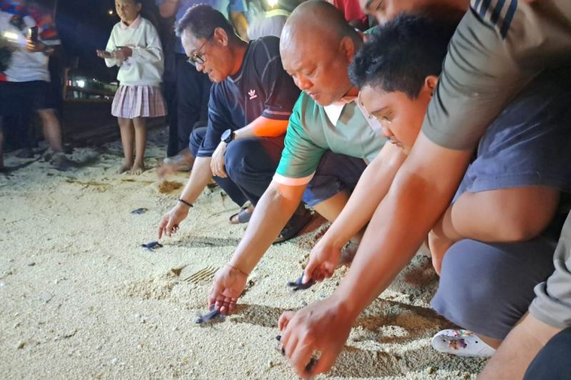 Wagub Kaltim Seno Aji (pertama dari kiri) bersama Wabup Berau Gamalis (nomor 2) dan sejumla. Foto Antara Wagub Kaltim Seno Aji (pertama dari kiri) bersama Wabup Berau Gamalis (nomor 2) dan sejumla. Foto Antara