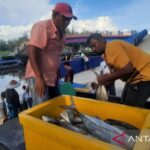 Nelayan di Kota Pariaman, Sumbar memindahkan ikan hasil tangkapannya ke dalam mobil untuk diangkut dan dipasarkan. Sumber foto: Antara