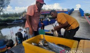 Nelayan di Kota Pariaman, Sumbar memindahkan ikan hasil tangkapannya ke dalam mobil untuk diangkut dan dipasarkan. Sumber foto: Antara Nelayan di Kota Pariaman, Sumbar memindahkan ikan hasil tangkapannya ke dalam mobil untuk diangkut dan dipasarkan. Sumber foto: Antara