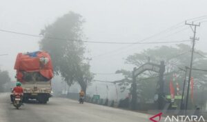 Kabut asap menyelimuti jalanan di wilayah Banyuasin, Sumatera Selatan, Senin (24/8/2026). Sumber foto: Antara