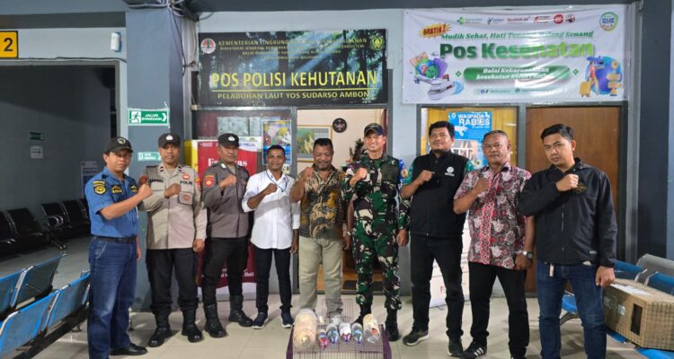 Tim gabungan pengamanan pelabuhan Pelni Kodaeral IX bersama BKSDA Maluku, Polsek Kawasan Pelabuhan Yos Sudarso, KSOP Kelas I Ambon dan Pelindo Regional 4 Ambon berhasil menggagalkan upaya penyelundupan sejumlah satwa dilindungi tanpa dokumen resmi di Pelabuhan Umum Yos Sudarso, Kota Ambon, Minggu (16/08). Sumber foto: Kodaeral IX