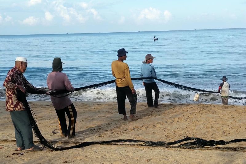 Sejumlah nelayan tradisonal menarik pukat darat di kawasan pantai Mon Mameh, Kecamatan Setia, Kabupaten Aceh Barat Daya, Kamis (27/8/2026). Sumber foto: Antara