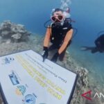 Dinas Pariwisata Provinsi Kalimantan Timur menanam puluhan fragmen karang menggunakan metode MARRS Spider di Pulau Miang, Kutai Timur. Sumber foto: Antara