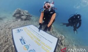 Dinas Pariwisata Provinsi Kalimantan Timur menanam puluhan fragmen karang menggunakan metode MARRS Spider di Pulau Miang, Kutai Timur. Sumber foto: Antara