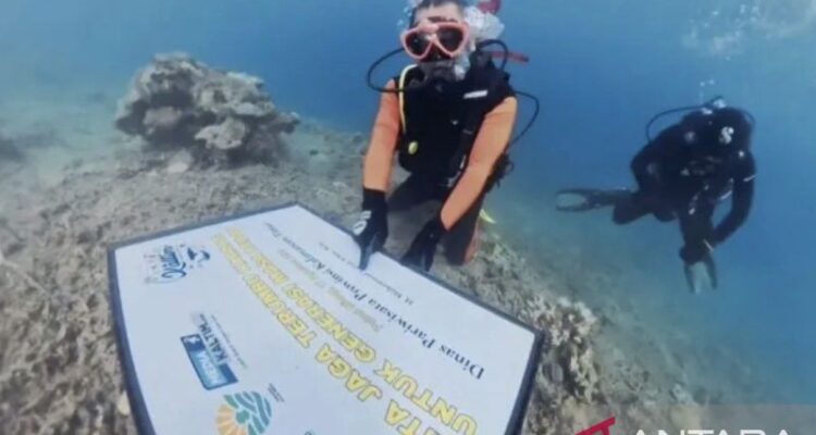 Dinas Pariwisata Provinsi Kalimantan Timur menanam puluhan fragmen karang menggunakan metode MARRS Spider di Pulau Miang, Kutai Timur. Sumber foto: Antara