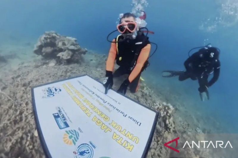 Dinas Pariwisata Provinsi Kalimantan Timur menanam puluhan fragmen karang menggunakan metode MARRS Spider di Pulau Miang, Kutai Timur. Sumber foto: Antara Dinas Pariwisata Provinsi Kalimantan Timur menanam puluhan fragmen karang menggunakan metode MARRS Spider di Pulau Miang, Kutai Timur. Sumber foto: Antara