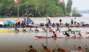 Peserta lomba sampan bidar memadati sungai kakap dalam perayaan Robo-robo di Kubu Raya. Sumber Foto: Antara