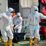 Tim SAR gabungan mengevakuasi satu dari tiga jasad yang baru ditemukan dari dalam badan kapal yang tenggelam dinaikkan ke KRI dan KN SAR Pacitan sebelum diterbangkan menggunakan Helikopter Basarnas HR-3601 dan Panther TNI AL HS-1311 pada operasi SAR hari ke-17 kecelakaan KM Virgo Transport 8, di perairan Masalembo, Laut Jawa, Selasa (29/9/2026). Sumber foto: Antara