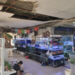 Kondisi plafon rusak di Tempat Promosi Hasil Perikanan (TPHP) Cengkareng, Jakarta Barat, Rabu (16/9/2026). Sumber foto: Antara