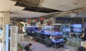 Kondisi plafon rusak di Tempat Promosi Hasil Perikanan (TPHP) Cengkareng, Jakarta Barat, Rabu (16/9/2026). Sumber foto: Antara