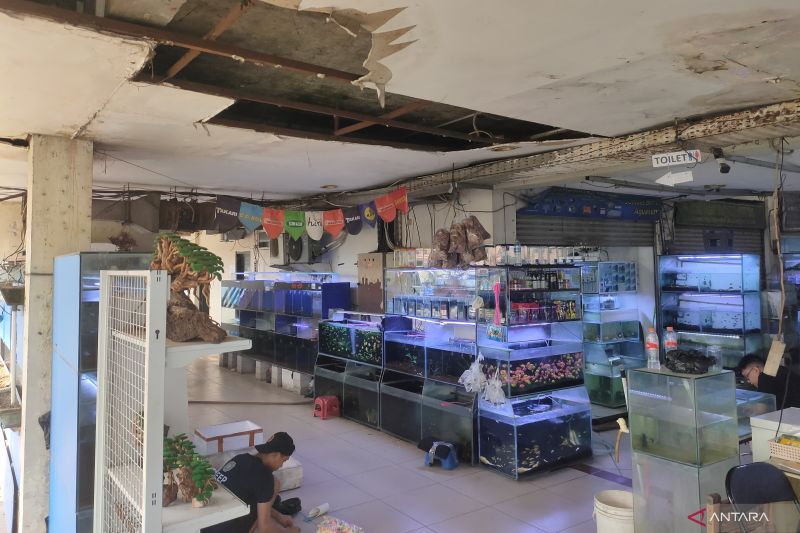 Kondisi plafon rusak di Tempat Promosi Hasil Perikanan (TPHP) Cengkareng, Jakarta Barat, Rabu (16/9/2026). Sumber foto: Antara