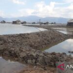 Ilustrasi - Petak tambak warga terendam banjir pesisir atau rob di Kabupaten Bima, Provinsi Nusa Tenggara Barat, Selasa (14/6/2022). Sumber foto: Antara