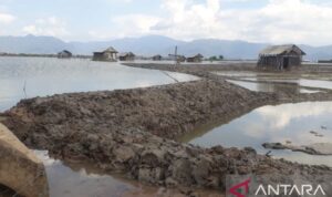 Ilustrasi - Petak tambak warga terendam banjir pesisir atau rob di Kabupaten Bima, Provinsi Nusa Tenggara Barat, Selasa (14/6/2022). Sumber foto: Antara Ilustrasi - Petak tambak warga terendam banjir pesisir atau rob di Kabupaten Bima, Provinsi Nusa Tenggara Barat, Selasa (14/6/2022). Sumber foto: Antara
