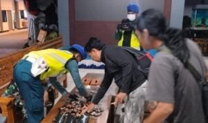Personel Lanal Tanjung Balai Karimun mengamankan barang diduga narkotika jenis baru cartridge vape merek Bomb sebanyak 240 unit di Perairan Pulau Manteras Besar, Kepulauan Riau (Kepri), Sabtu (5/9/2026) malam. Sumber foto: Antara Personel Lanal Tanjung Balai Karimun mengamankan barang diduga narkotika jenis baru cartridge vape merek Bomb sebanyak 240 unit di Perairan Pulau Manteras Besar, Kepulauan Riau (Kepri), Sabtu (5/9/2026) malam. Sumber foto: Antara