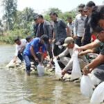 Suasana pelepasan benih ikan di perairan untuk menjaga ekosistem perairan di Kabupaten Bone, Sulsel. Sumber foto: Antara