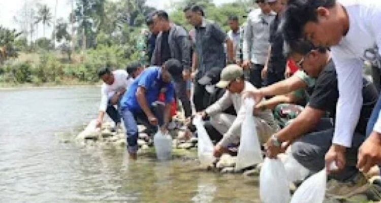 Suasana pelepasan benih ikan di perairan untuk menjaga ekosistem perairan di Kabupaten Bone, Sulsel. Sumber foto: Antara