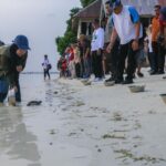 Pelepasliaran tukik di Perairan Wakatobi, Sulawesi Tenggara. Sumber foto: Antara