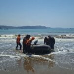 Petugas SAR gabungan melakukan pencarian terhadap nelayan pencari gurita yang hilang di perairan Pantai Ngalur, Tulungagung, Jawa Timur, Jumat (16/10/2026). Pencarian hari kedua melibatkan 15 personel dengan penyisiran laut hingga radius sekitar empat kilometer dari lokasi kejadian, meskipun terkendala gelombang tinggi. Sumber foto: Antara
