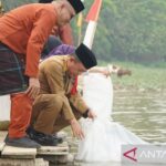 Gubernur Jambi Al Haris (duduk) saat melepas ribuan benih ikan jenis nilem di Danau Sibuk Kabupaten Bungo, Senin (19/10/2026). Sumber foto: Antara